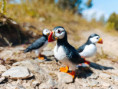 /album/fotogalerie-moje-outside-prace-/martinh-collection-outdoorphotos-august-2025-14-jpg/